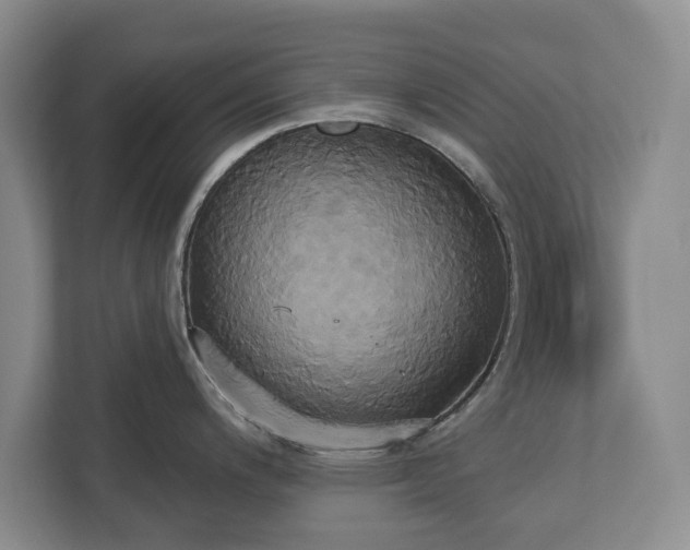 X0000113061200200909041031