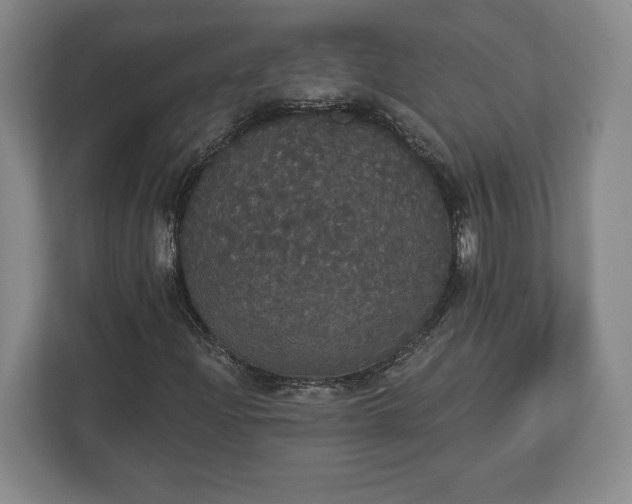 X0000113061204200909041031