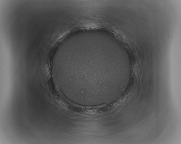 X0000113061205200909041031