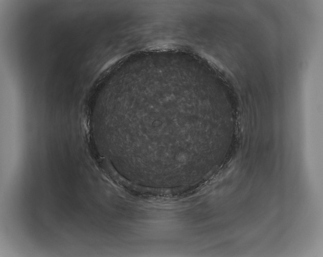 X0000113061206200909041031