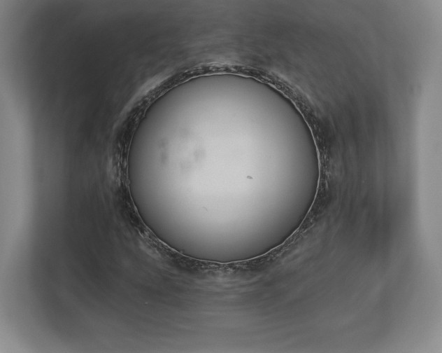 X0000113061207200909041031