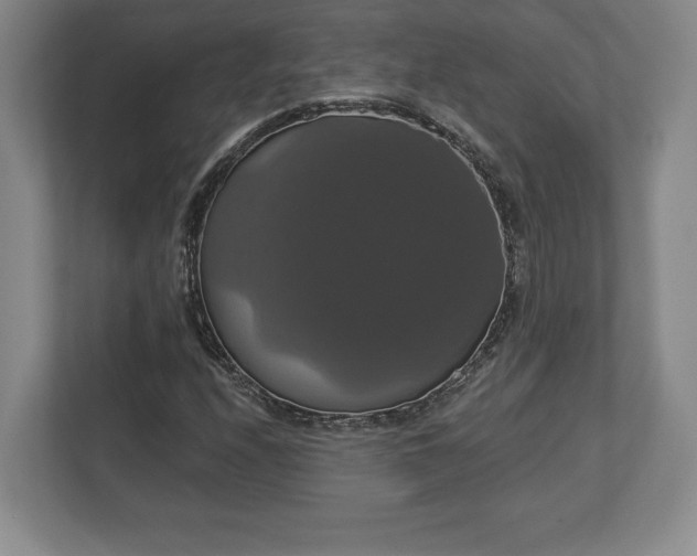 X0000113061208200909041031