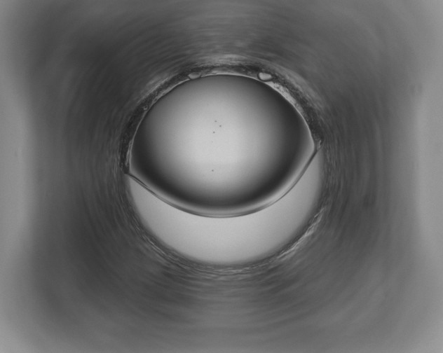 X0000113061209200909041031