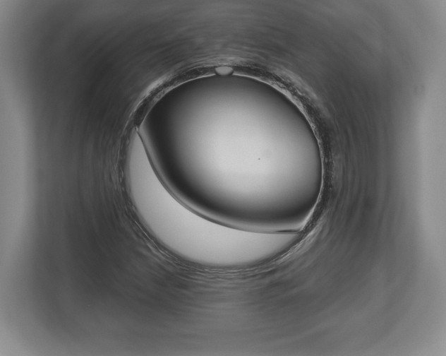 X0000113061210200909041031