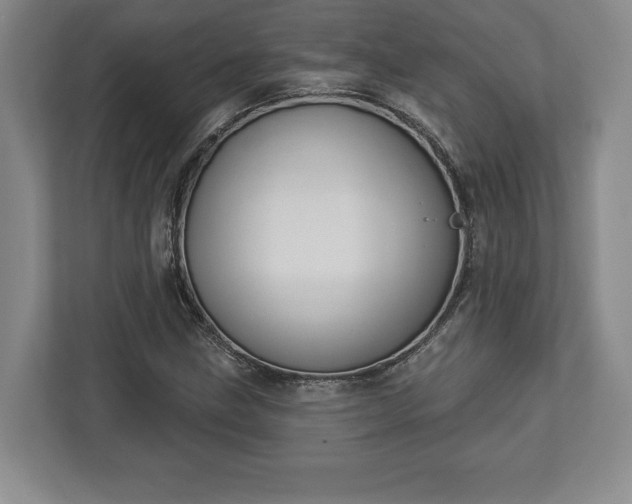 X0000113061211200909041031