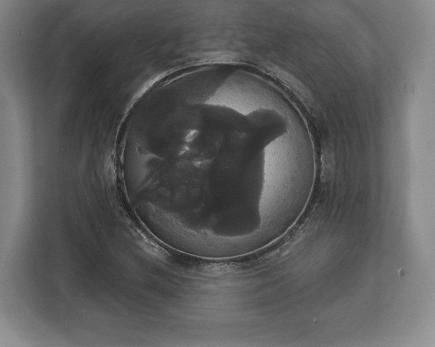 X0000113061212200909041031