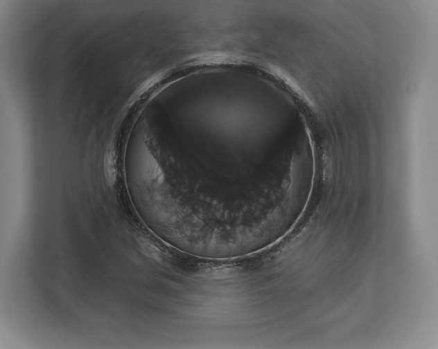 X0000113061213200909041031