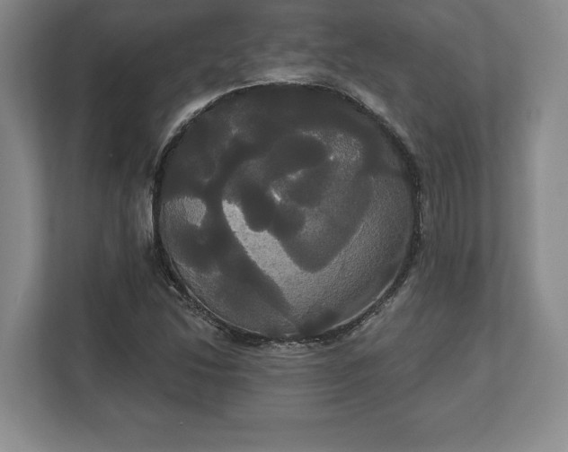 X0000113061214200909041031
