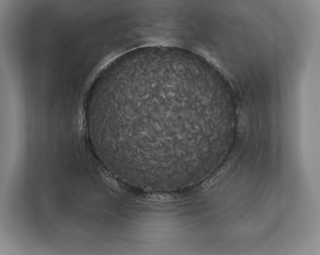 X0000113061215200909041031