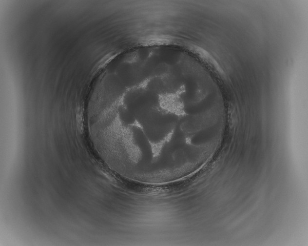 X0000113061217200909041031