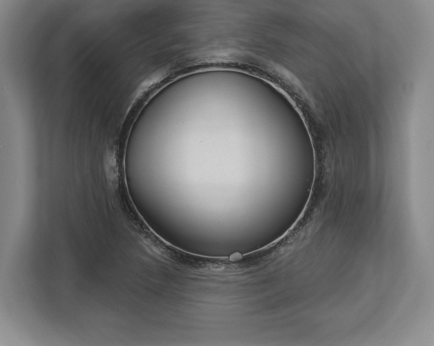 X0000113061218200909041031