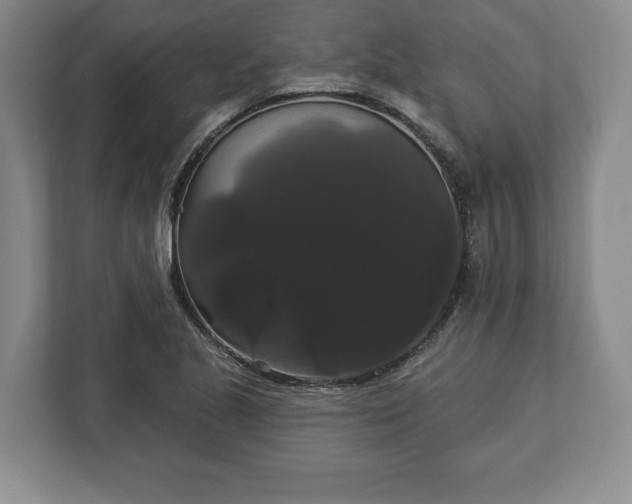 X0000113061221200909041031