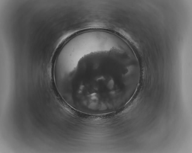 X0000113061222200909041031
