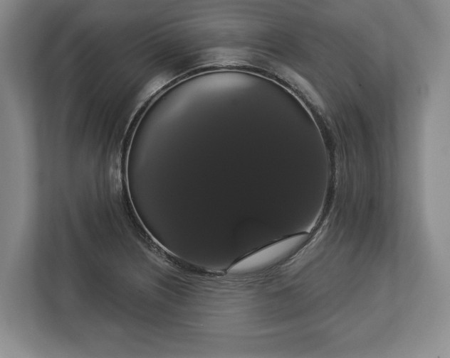 X0000113061226200909041031