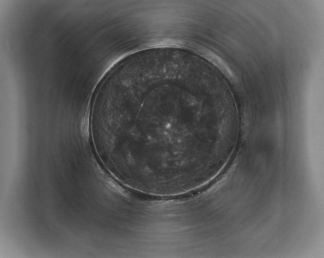 X0000113061228200909041031