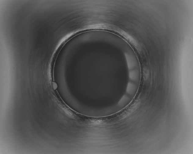 X0000113061230200909041031