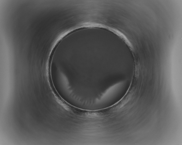 X0000113061231200909041031
