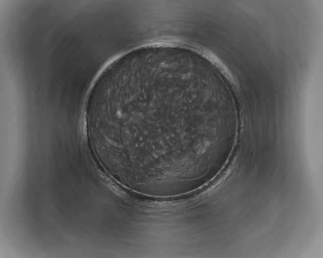 X0000113061232200909041031