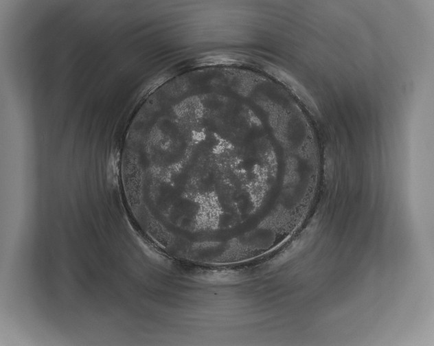 X0000113061233200909041031