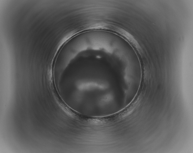 X0000113061234200909041031