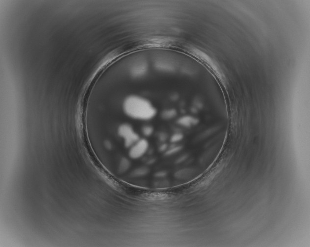 X0000113061235200909041031