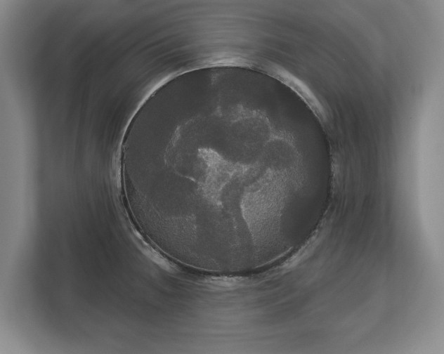 X0000113061236200909041031