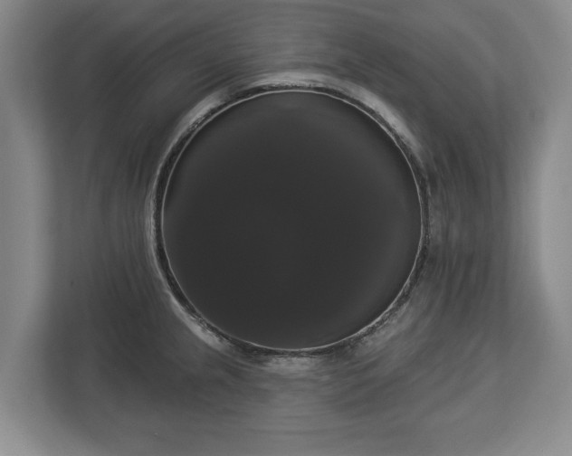 X0000113061237200909041031