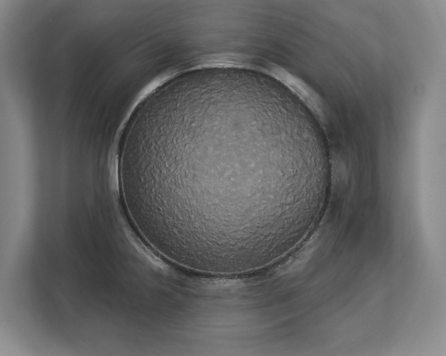 X0000113061238200909041031