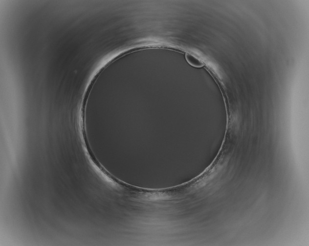 X0000113061239200909041031