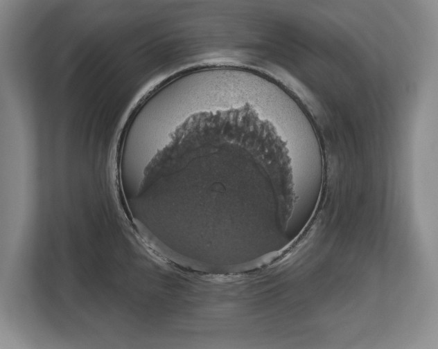 X0000113061240200909041031