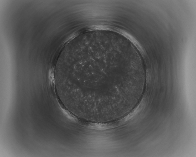 X0000113061241200909041031