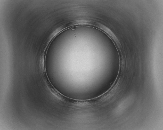 X0000113061242200909041031