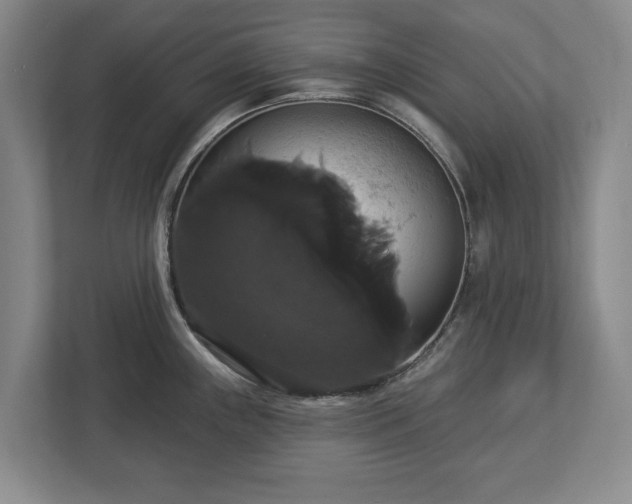 X0000113061243200909041031