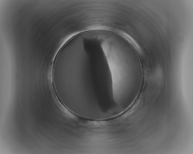 X0000113061244200909041031