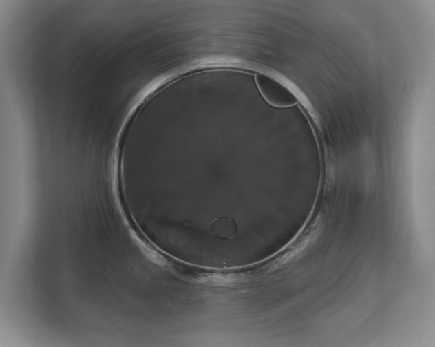 X0000113061245200909041031