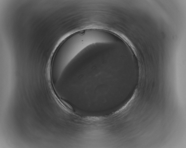 X0000113061246200909041031