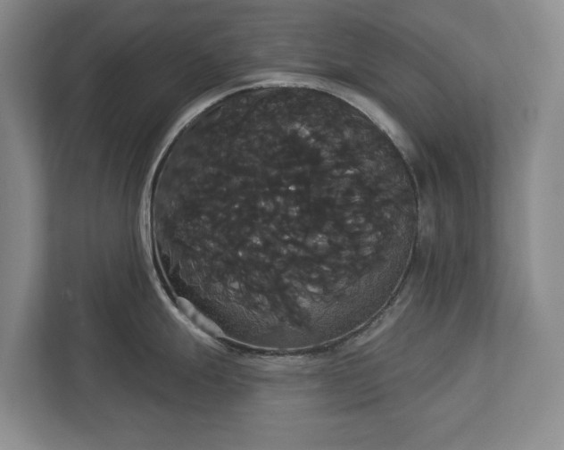 X0000113061247200909041031