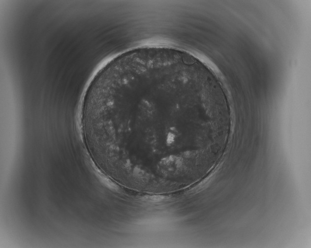 X0000113061248200909041031