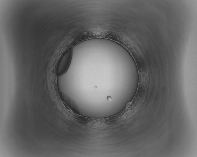 X0000113061249200909041031