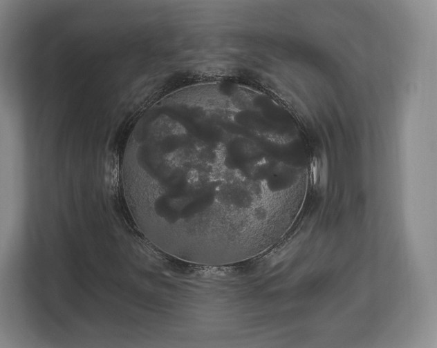 X0000113061251200909041031