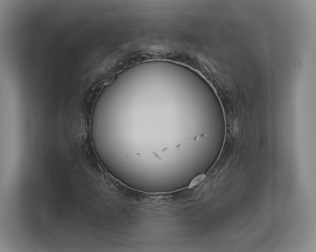 X0000113061253200909041031