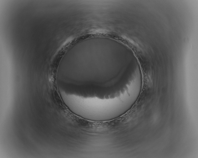 X0000113061254200909041031