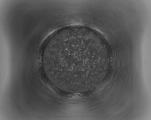 X0000113061255200909041031