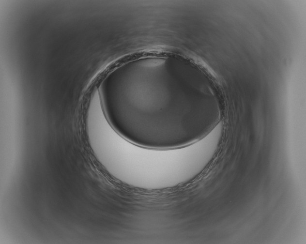 X0000113061256200909041031