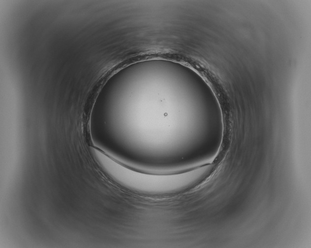 X0000113061257200909041031