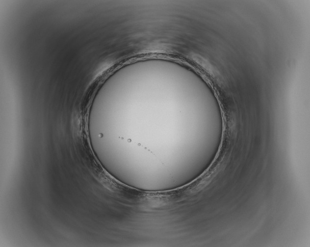 X0000113061258200909041031