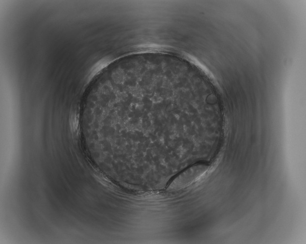 X0000113061259200909041031