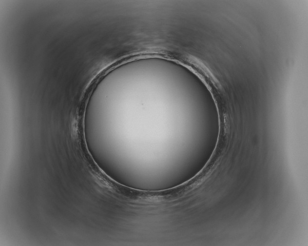 X0000113061260200909041031