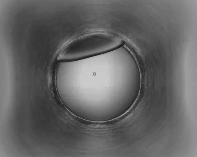 X0000113061261200909041031