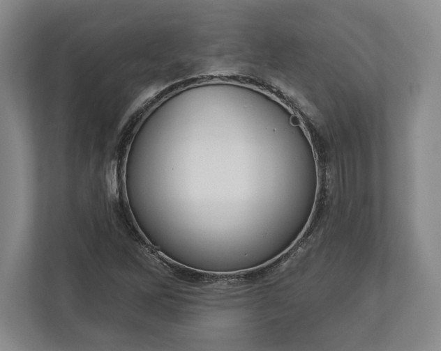 X0000113061262200909041031